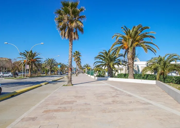 In * Civitanova Marche